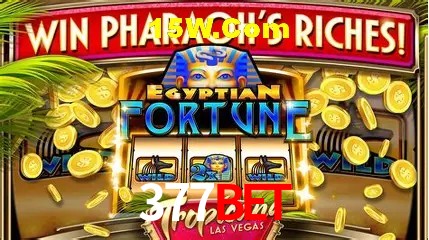 Login Seguro 377bet