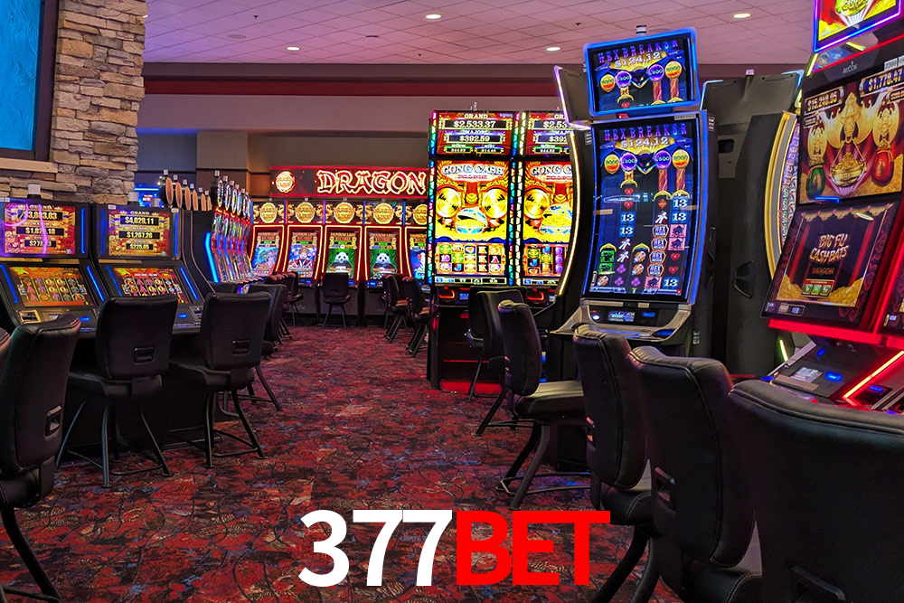 Sports Statistics 377bet